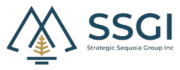 Strategic-Sequoia-Group-Inc-SSGI